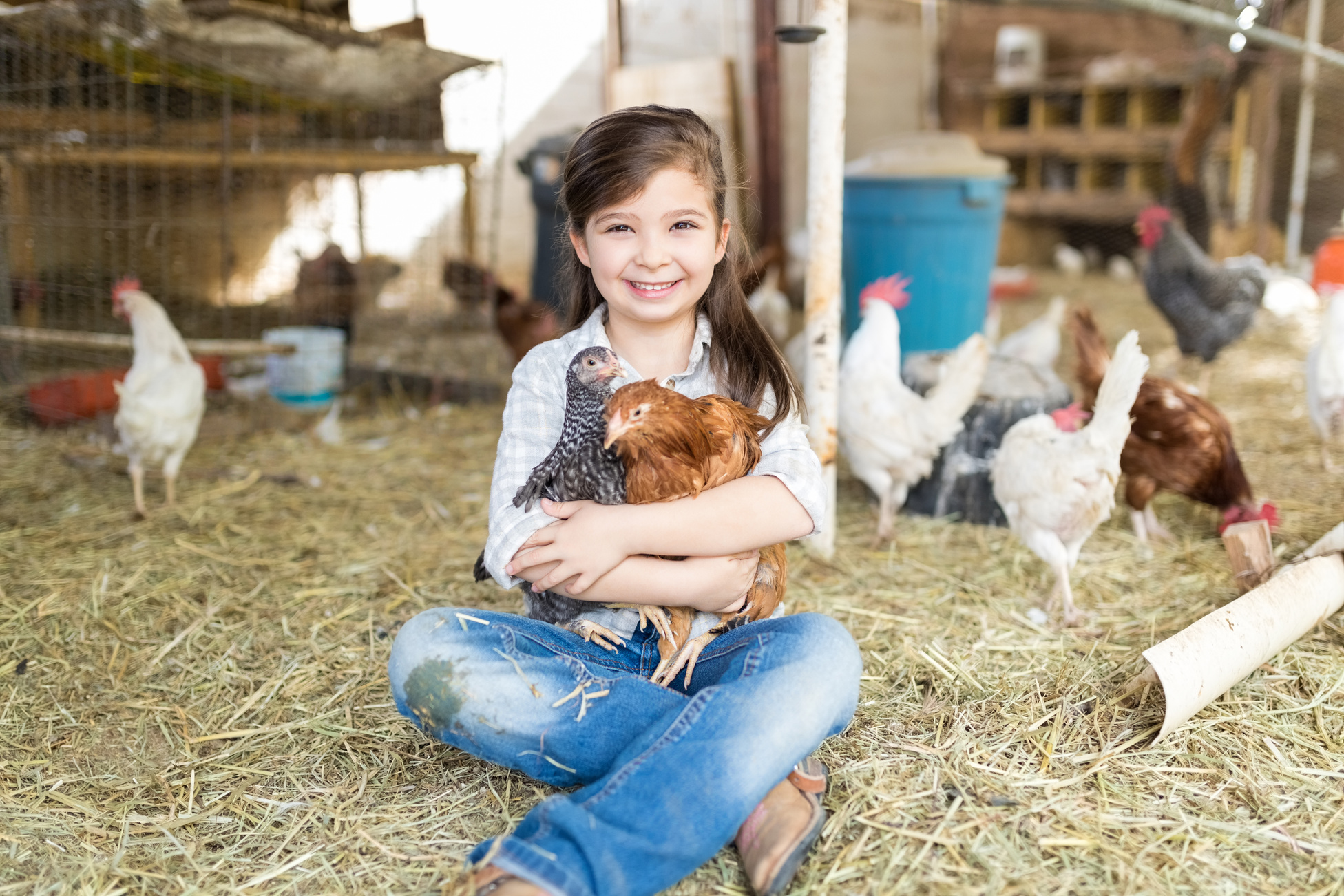 Cute Female Child Embracing Chickens At Farm